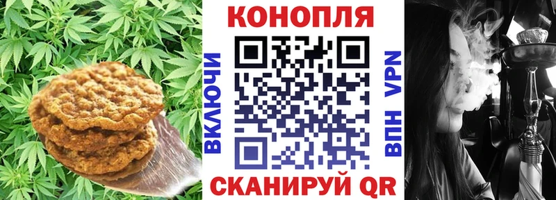 Canna-Cookies конопля  где можно купить наркотик  Ижевск 