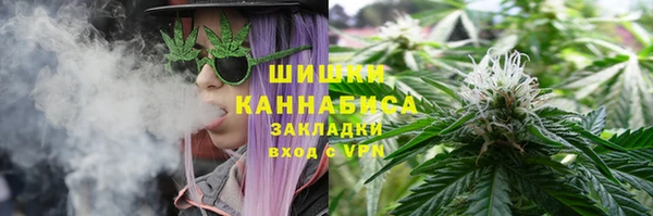 a pvp Алзамай
