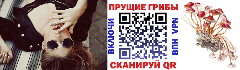 Псилоцибиновые грибы Psilocybine cubensis продажа наркотиков Ижевск
